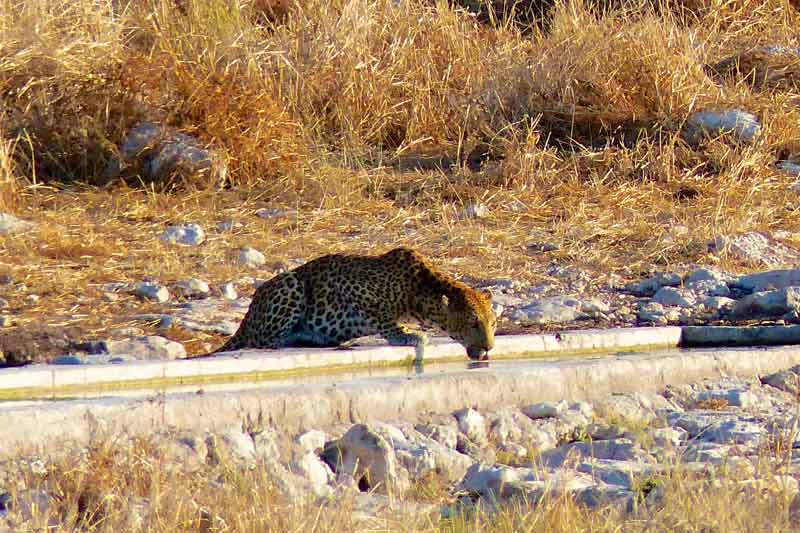 Namibia
